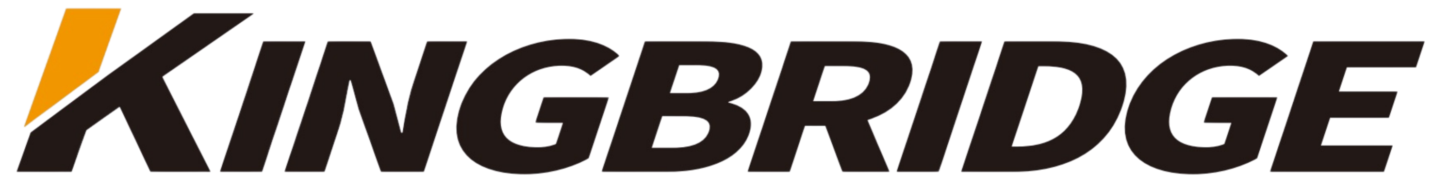 04_Logo_Double Coin Group (Chongqing) Tyre Co., Ltd