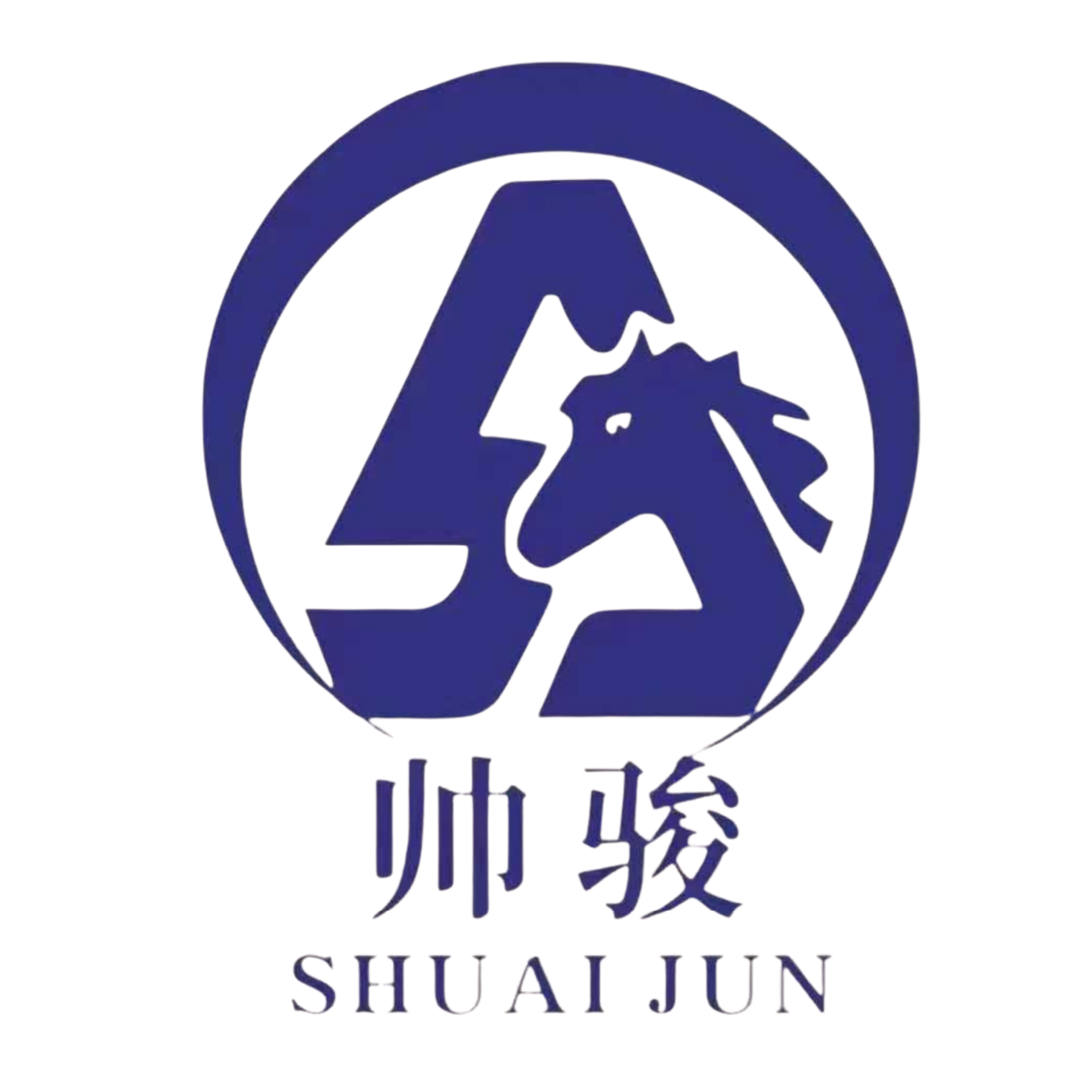 06_Logo_Dingyun Automobile Decoration Parts Factory